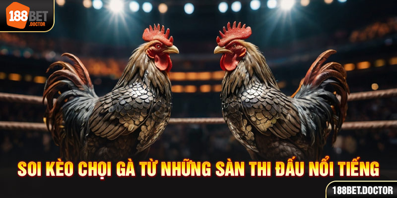 campeonbet