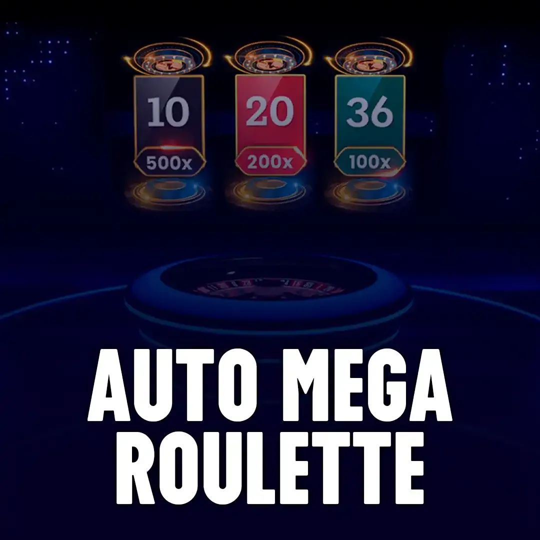 556bet